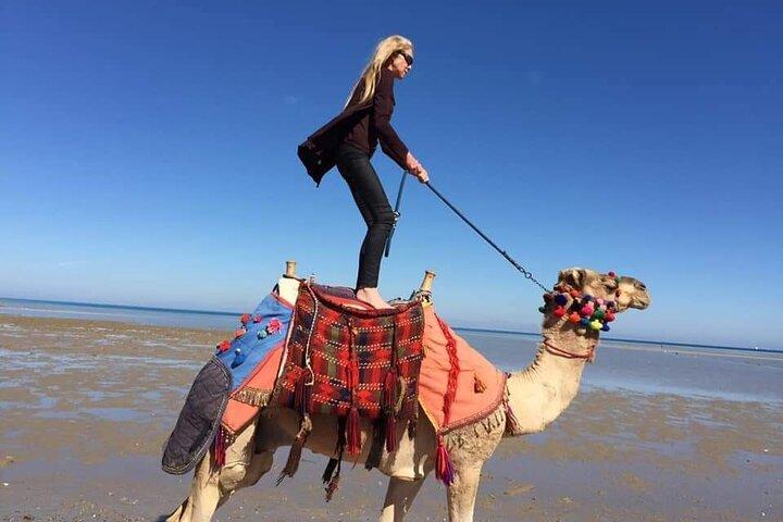 Visita la Medina di Agadir a dorso di cammello o a cavallo