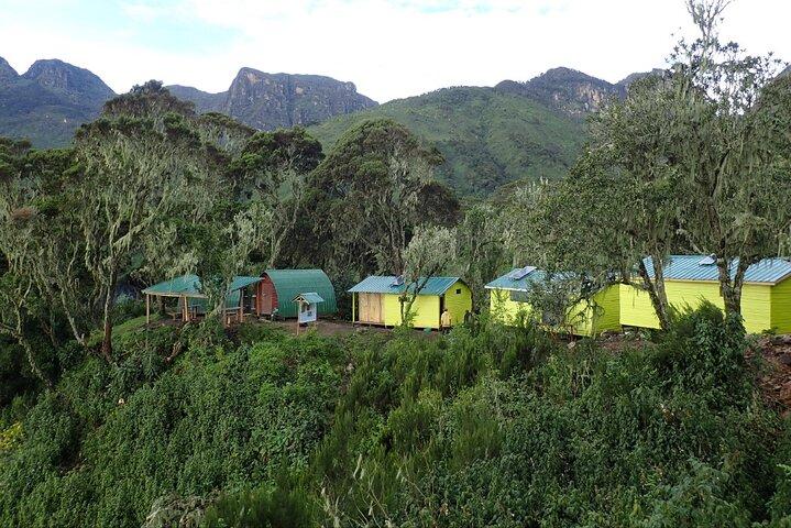 10 dagars bergsvandring i Rwenzori