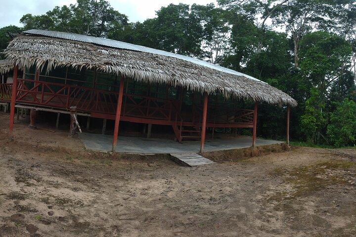 Excursão privada de 2 dias e 1 noite em Iquitos com almoço e embarque