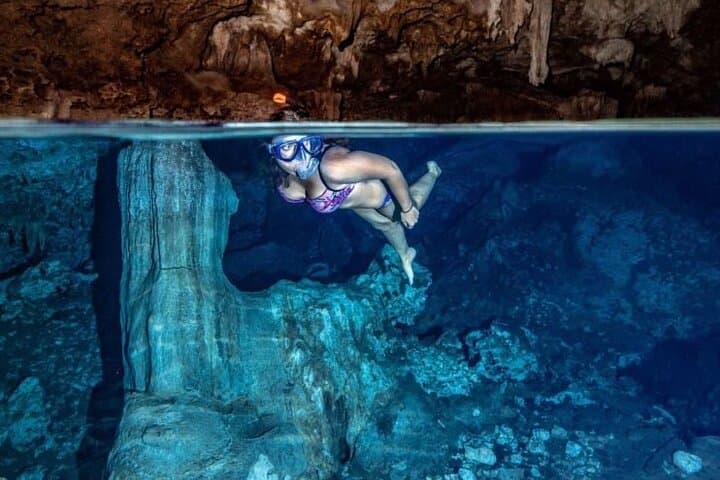 Private Full-Day: Dolphin & Monkey Jungle Adventure