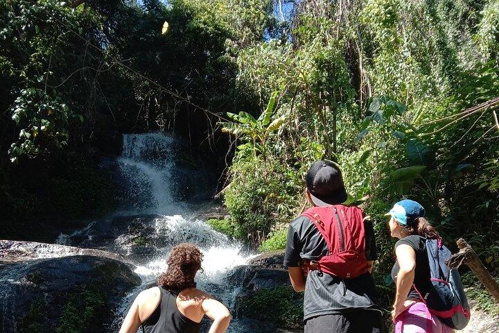 Chiang Mai: Doi Suthep Summit Trek – 7 heures de randonnée pédestre