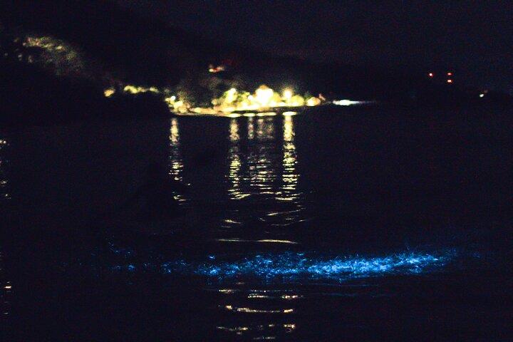 生物発光カヤックツアー