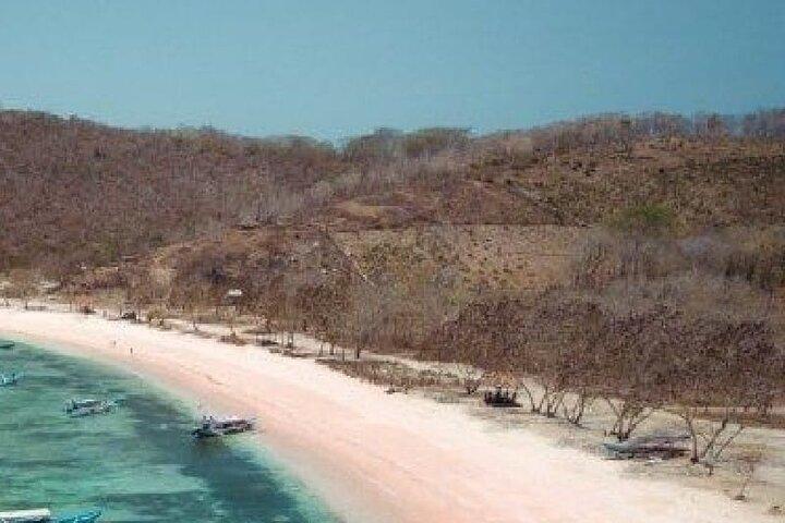 Tagesausflug rosa Strandausflug