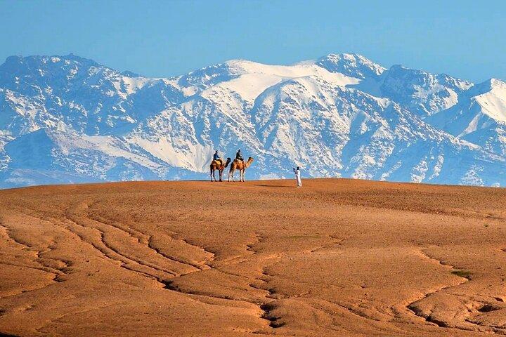 Atlas Mountains and Berber villages & Waterfalls with Camel ride