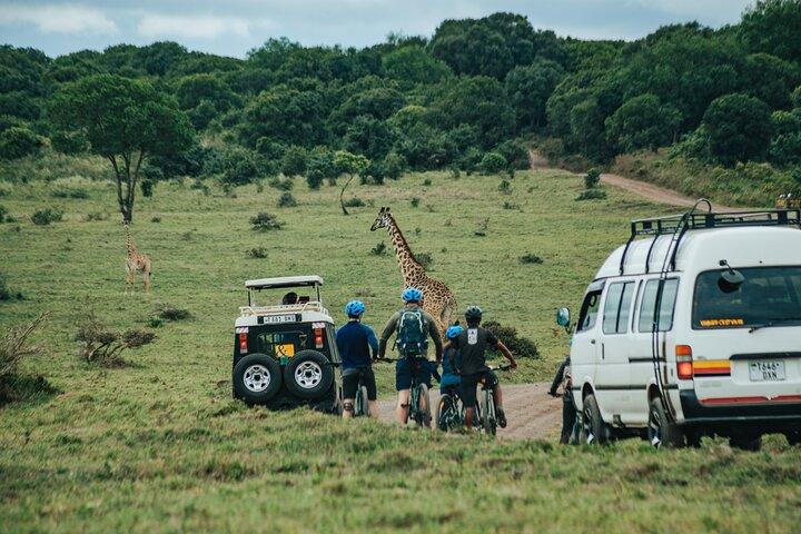 Safari à vélo électrique dans le parc national d'Arusha