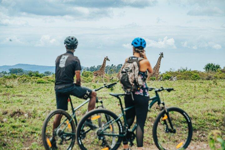 Safari à vélo électrique dans le parc national d'Arusha