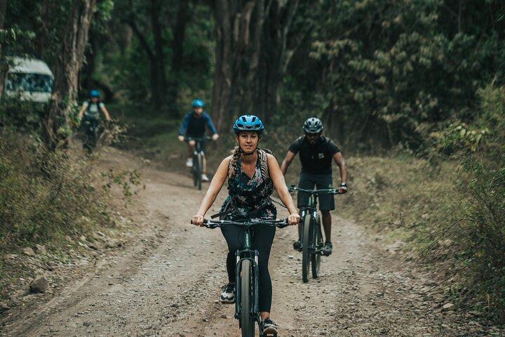 Safari à vélo électrique dans le parc national d'Arusha
