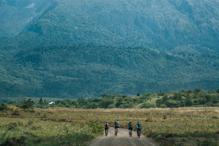 Safari à vélo électrique dans le parc national d'Arusha