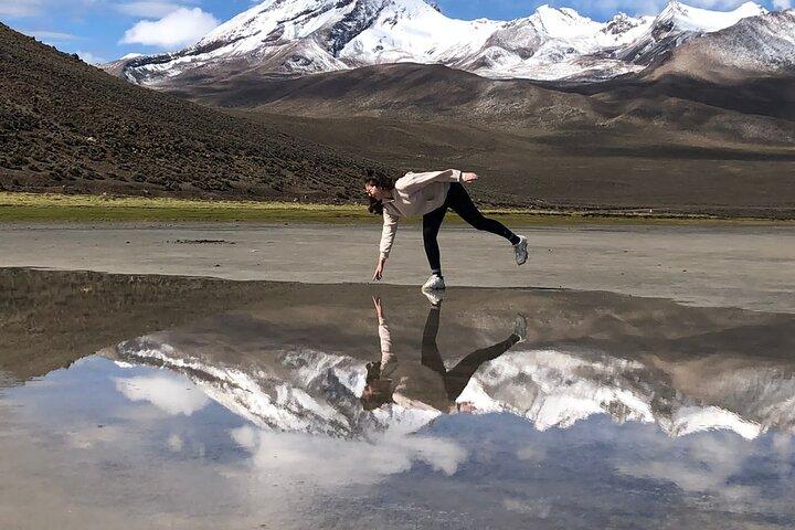 Tour di 8 ore ad Arequipa Laguna de Salinas con ritiro