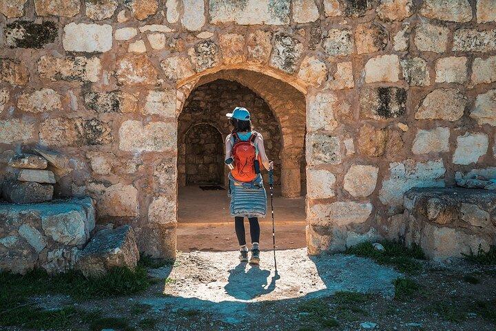 Excursão privada de Jerash Ajloun e Umm Qais