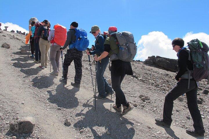 Escalada Kilimanjaro - ruta Lemosho