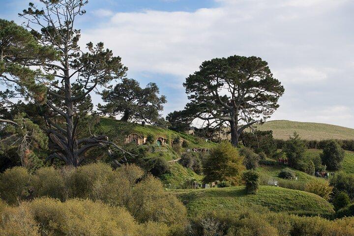 Excursion d'une journée à Hobbiton au départ de Rotorua avec déjeuner à Hobbiton