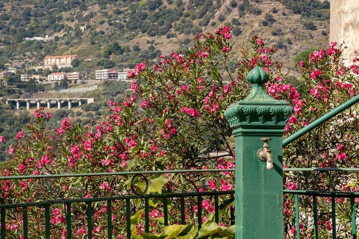 Tour privado de Savoca y Taormina desde Messina