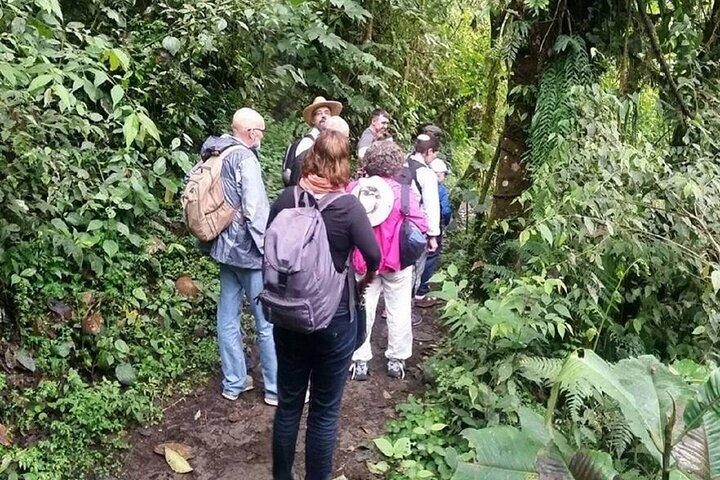 Mindo Vogelbeobachtungstour ab Quito
