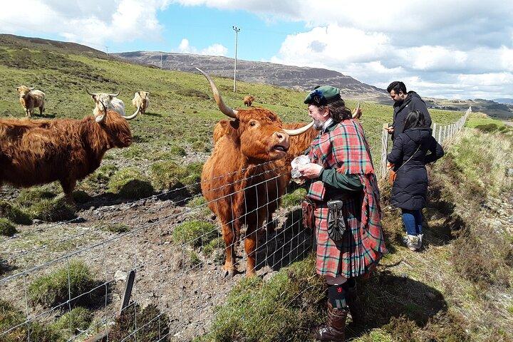 Visite guidée privée d'une journée complète de Shennachies Road vers les îles et Skye