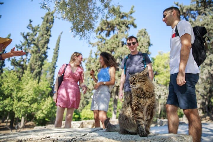 Athens Acropolis and Parthenon Walking Tour