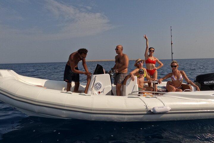 Hurghada Speedboat Dolphin Watching and Snorkeling