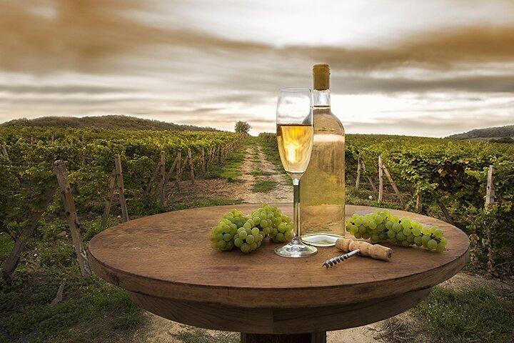 Tour di mezza giornata con degustazione di vini biologici della Provenza da Nizza