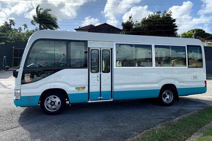 Privéluchthaventransfer van Montego Bay naar Ocho Rios Hotels