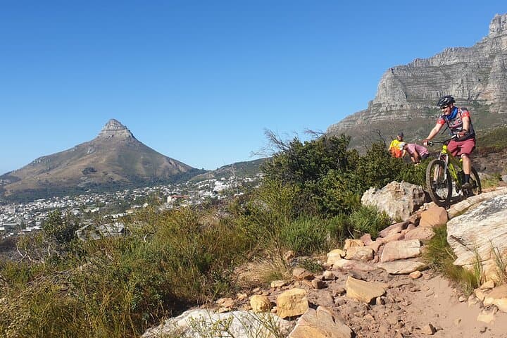 Private Mountain bike on Cape Town Trails with a Pro