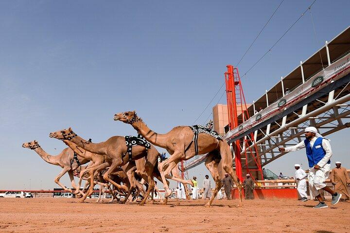 Full-Day Doha City Sightseeing Tour met geschiedenis, cultuur, kunst, tuinen, Souk