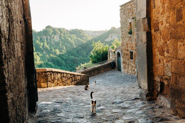 Civita di Bagnoregio and Orvieto - Private Day Trip from Rome