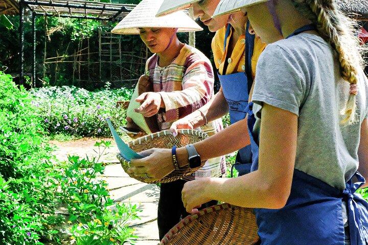 Madlavningsklasse Hoi An - Økologisk Have - Landbrugsrejser