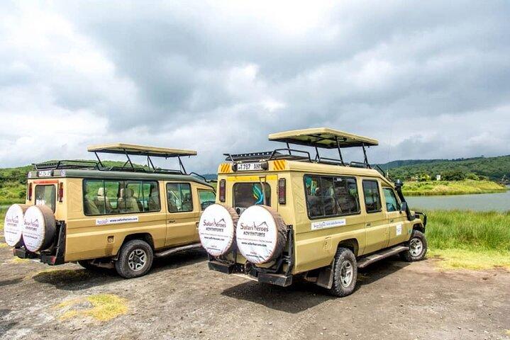 Safari de 4 días en Tanzania