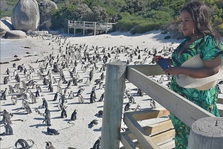 Private lovely journey to Penguins-Cape point-Cape of good hope