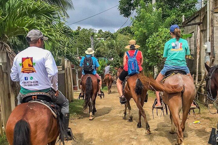 Ridetur, Roatan Letters og Ocean i Flowers Bay