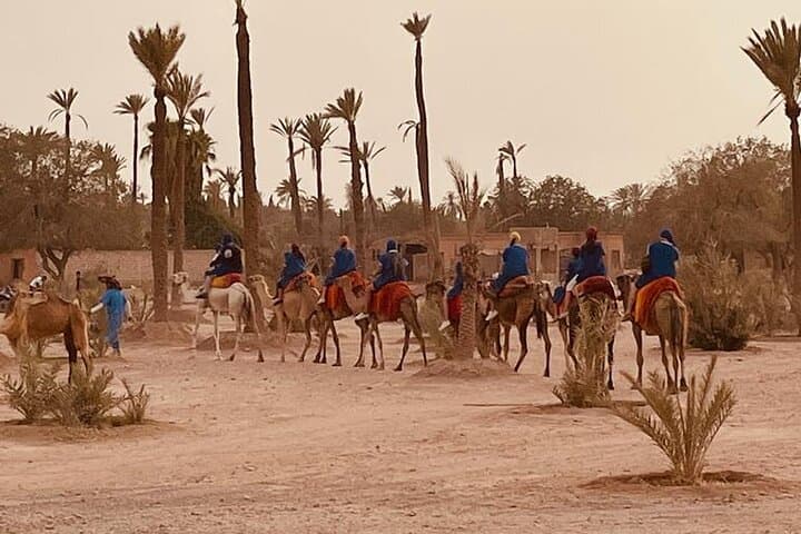 Private 1-Hour Camel Ride in Marrakech with Sunset and Tea pause