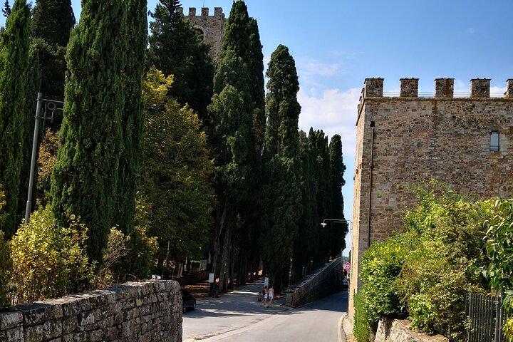 Wine Tours tout compris dans le Chianti Toscane Service de limousine privée