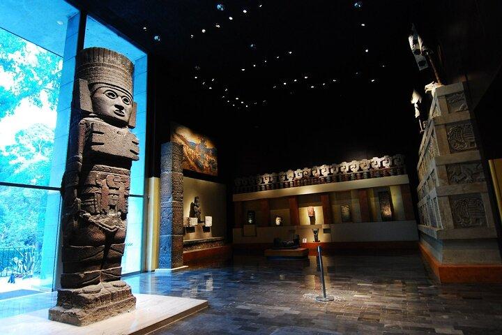 Antropologimuseets biljett med Digital Guide ingår