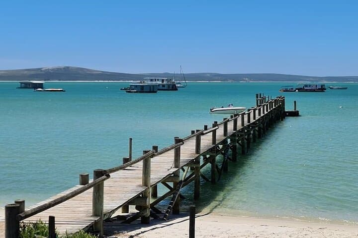 Cape West Coast Flower Tour