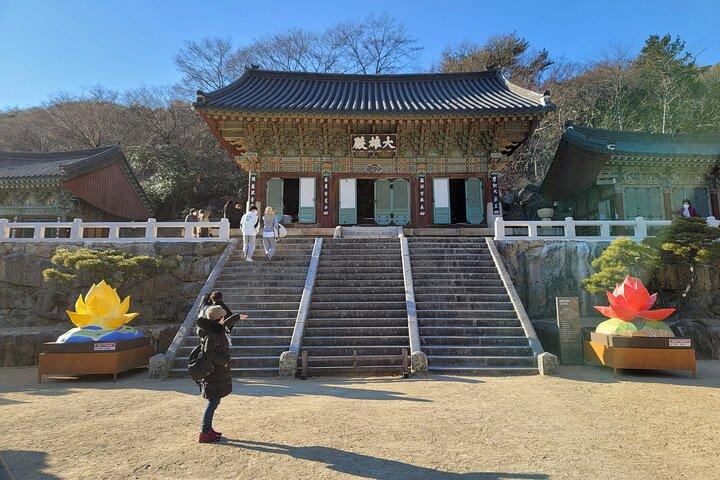Busan Beomeosa Tempel & Hongbeopsa Tempel met tempellunch