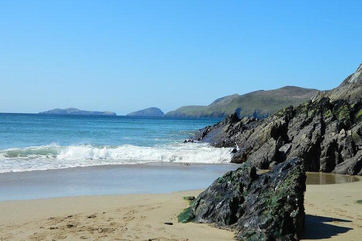 Privat heldagstur till Dingle och Slea Head