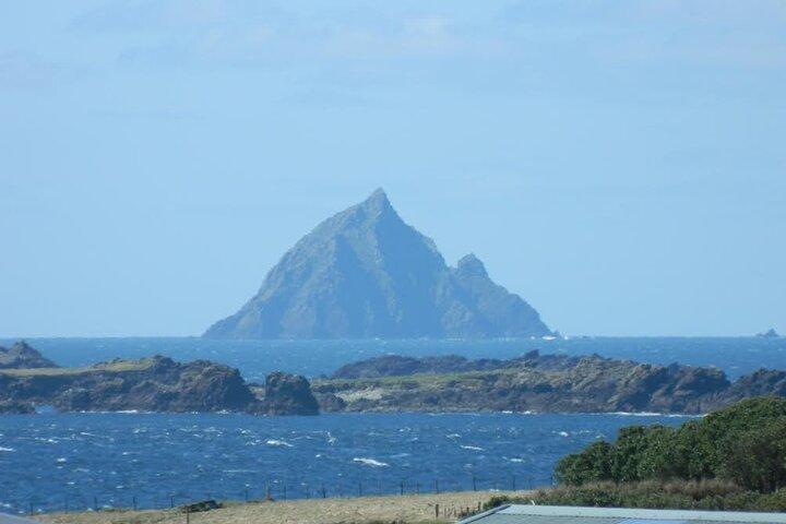 Privat heldagstur till Dingle och Slea Head