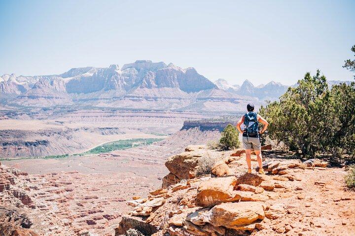 Zion National Park Petroglyphs, Dino tracks en meer!