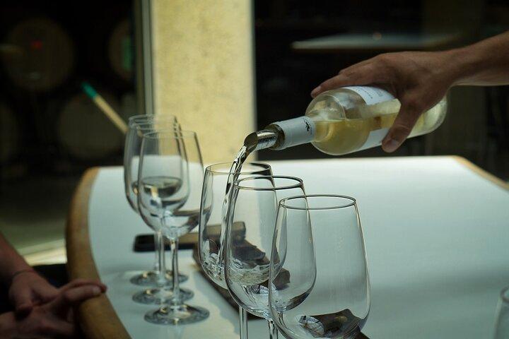 Maipo Valley : Cantine storiche e tour classico dei rossi