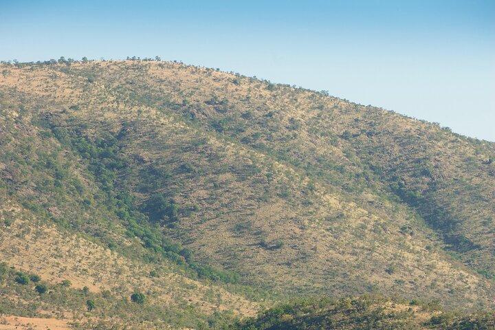 2 Tage Pilanesberg Camping Safari