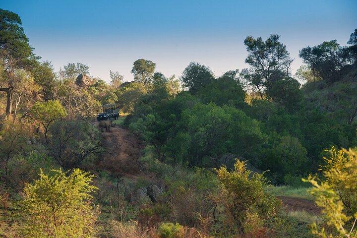 2 Tage Pilanesberg Camping Safari