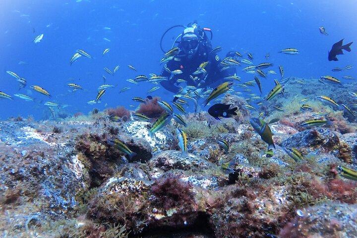 Entdecken Sie Scuba Diving . Erste Erfahrung unter Wasser