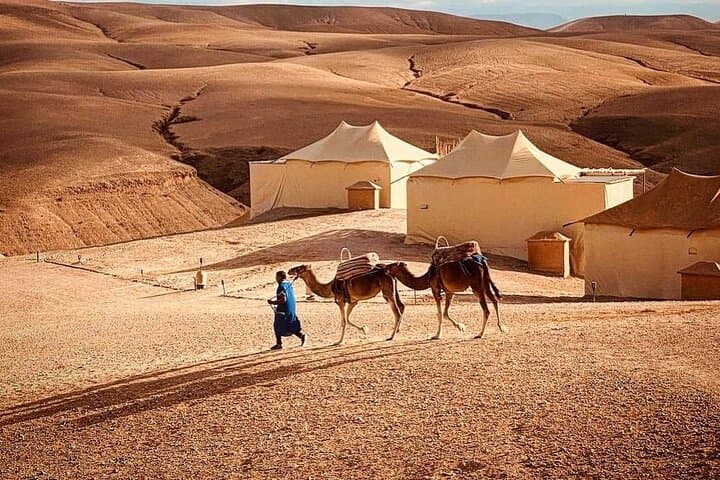 Tour Camel Ride Agafay with Pickup