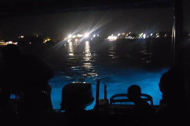 Luminous Lagoon Private Night Tour