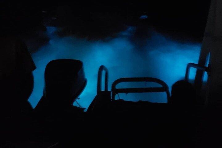 Luminous Lagoon Private Night Tour