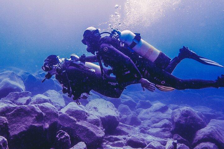 Entdecken Sie Scuba Diving . Erste Erfahrung unter Wasser