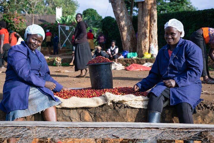 Coffee Farm Village & Factory Half Day Tour with Pick-Up