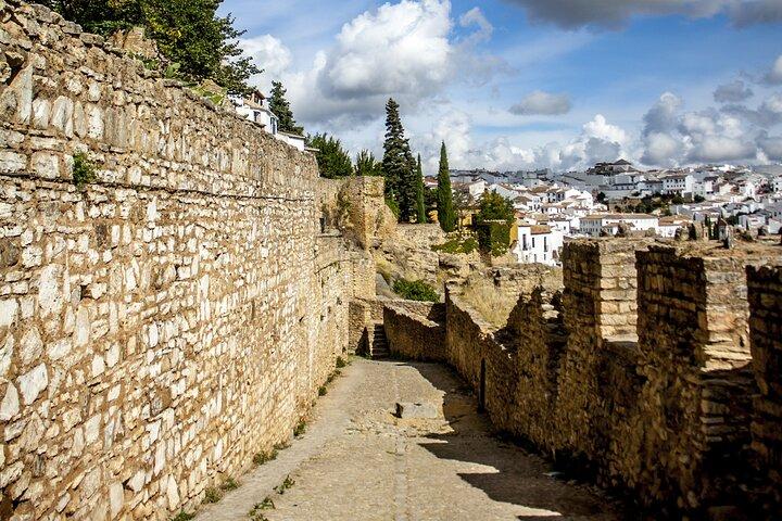 Ronda de Malaga avec transport privé