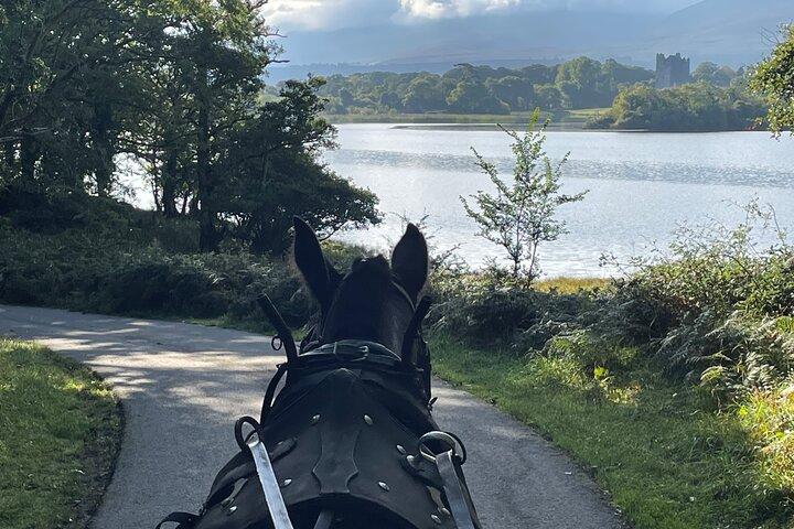 Pferdekutschenfahrten in Killarney