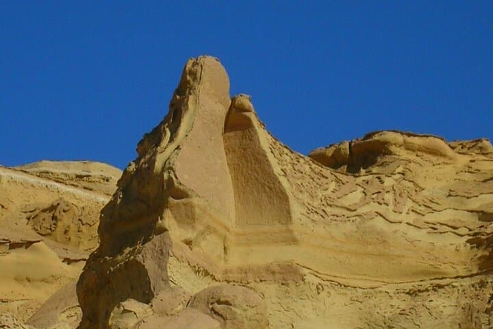 Fayoum Full Day Private Guided Tour from Cairo